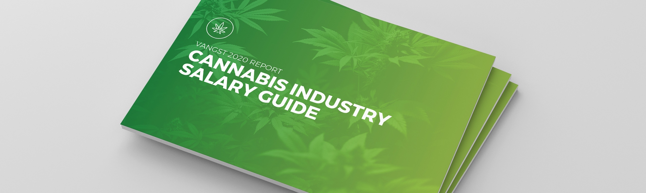 Here are the Top Cannabis Jobs Now Hiring and Their Salaries