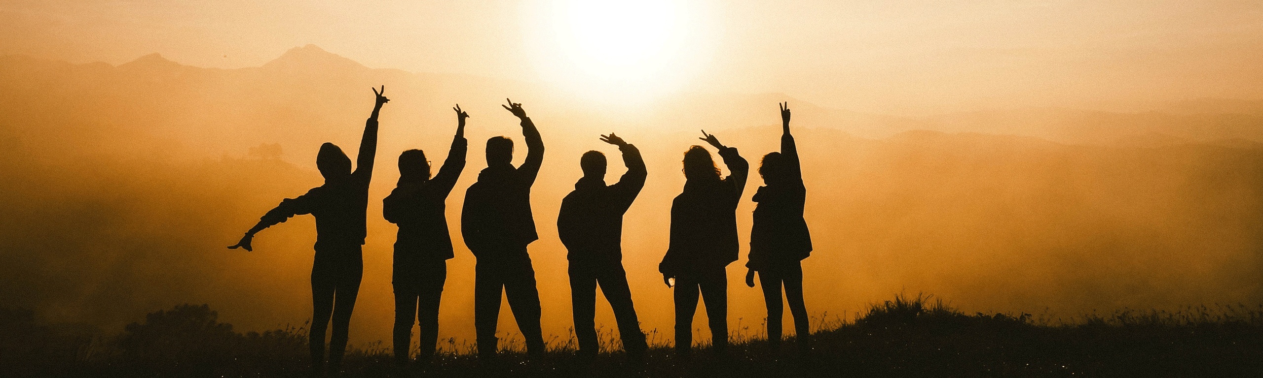 Vangst Member Spotlight: Cannabis Connections