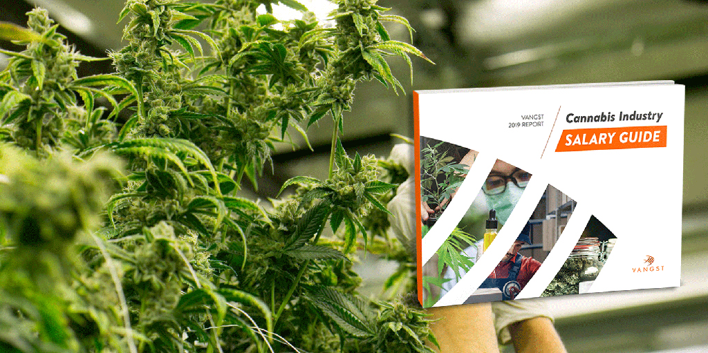 The 2019 Cannabis Industry Salary Guide is Here!