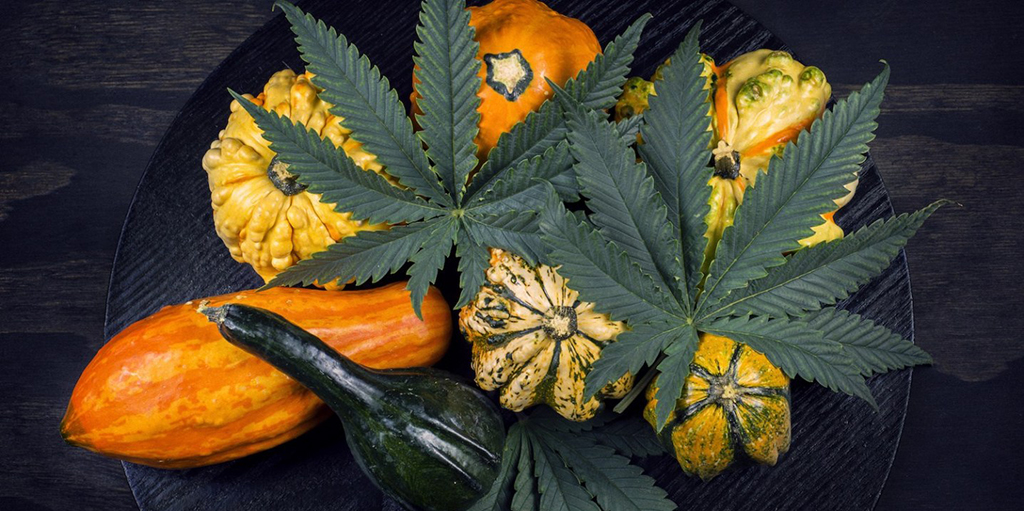 Green Friday and Weed Wednesday - Why You Can't Miss These Two Holidays