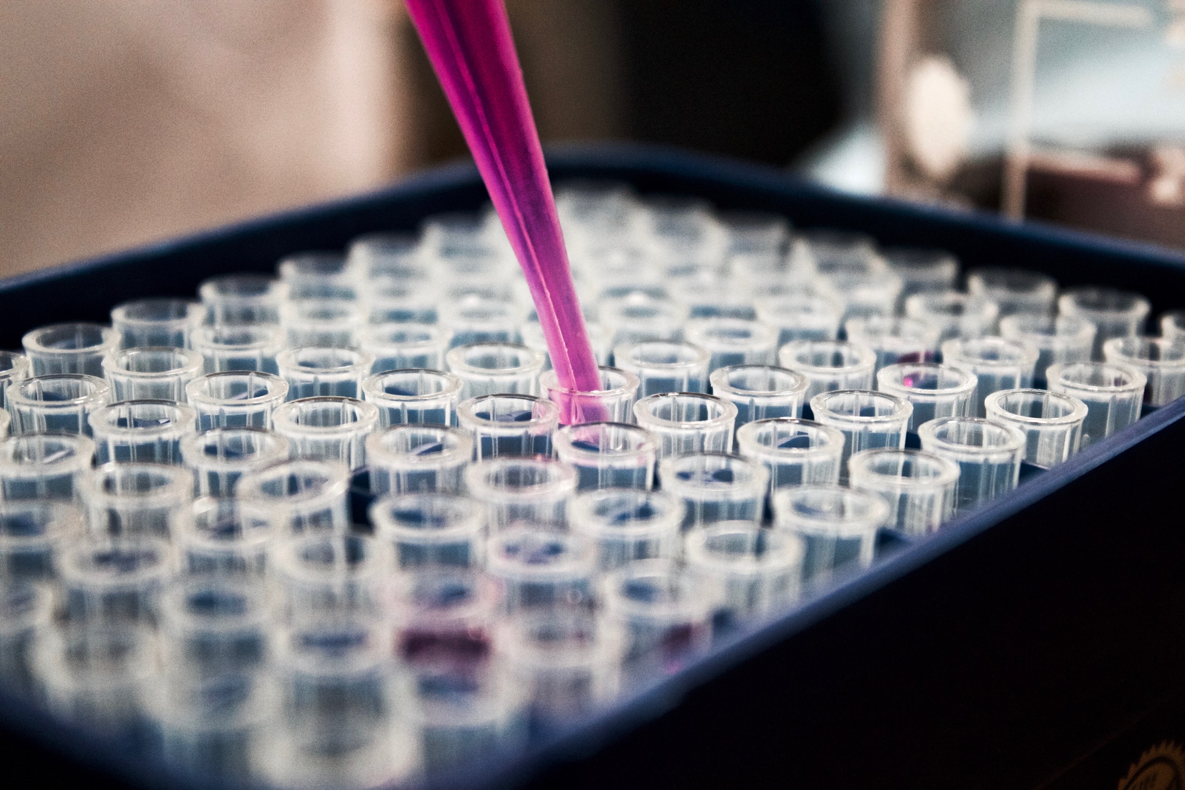 Expert Advice to Launching your Lab and Extraction Career