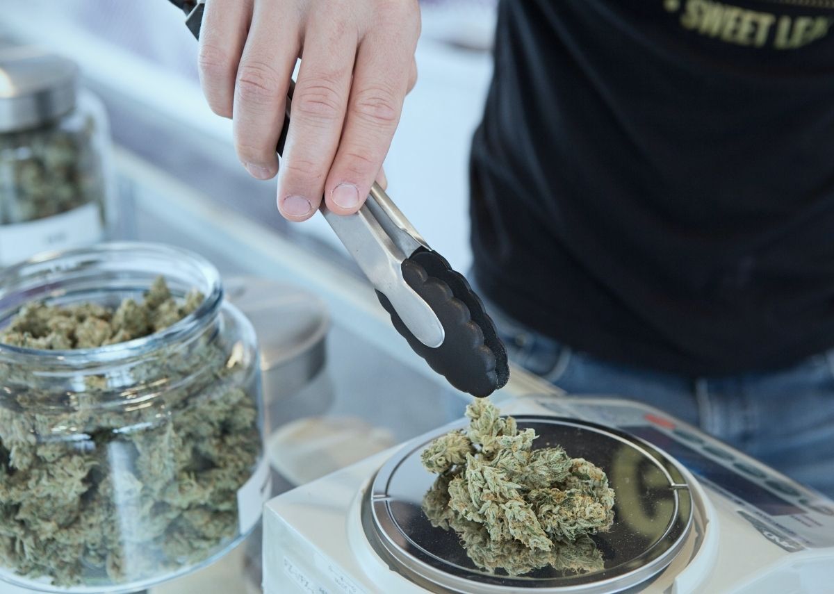 How to Work in the Cannabis Industry – Requirements by State